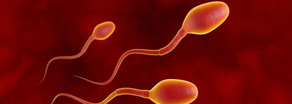 Les pierres pour booster la fertilité